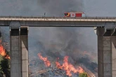 Avanza por Andalucía el incendio más devastador del siglo en España   