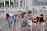 La actual ola de calor, la más severa jamás registrada en Europa, afirman científicos    