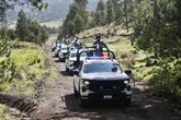 Baja 95% la tala ilegal en corredor forestal del Ajusco    