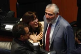 Morena propone anular elecciones en caso de “intervención extranjera”    