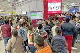 Afore dan plusvalías por 239.4 mil mdp   