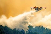 Destrucción y poblados desalojados por incendio forestal en Colorado   