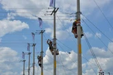 Registró la CFE pérdidas por 402 mdp en el primer trimestre   
