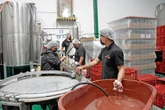 Inegi: recorte de 227 mil empleos en enero-marzo   