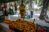 Mejora la satisfacción con la vida en México   