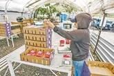 Entrar al agromercado de la UE exige inversión logística   