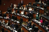 Chocan en el Senado por el tratado comercial   