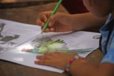 Órganos fundados por Toledo lanzan cuadernos para niños sobre el cuidado de las especies    