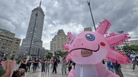 Defensores del ajolote protestan en Bellas Artes   