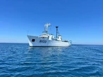 Mañana, Día de la Marina Nacional   