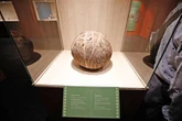 Luego de 20 años, reabre el museo de sitio en la Ciudad de los Dioses   
