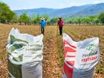 Cayeron 20% las importaciones de fertilizantes de enero a abril   