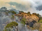 Crean alumnos del Politécnico app para prevenir incendios forestales   