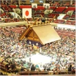 「大相撲中継」ゲストの林家正蔵に厳しい声「聡ノ富士に失礼」「言葉選んで」