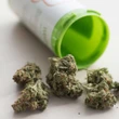 押収大麻20トン焼却処分でトルコの街がトンデモないことに！知事が主導の呆れた大騒動