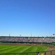 プロ野球の地方開催が激減　“ゼロ開催”の球団も…ファンとの距離は広がるばかり？