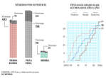 Informe Gráfico: 1.000 partidos, 209 semanas en el número 1, 92 títulos, 22 Grand Slams, 24 lesiones...