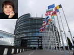 Confindustria, la numero due Laura Ponti: «Troppe leggi sulla sostenibilità, così l'Europa frena l'industria»