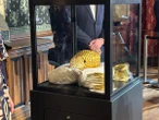 3 minuti faNei Paesi Bassi tre uomini sono stati condannati per il furto di un antico elmo d’oro della Romania da un museo