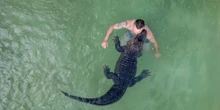 pochi secondi faWeekly BeastsUn gibbone domestico, un cerambice muschiato, una cavalletta soldato e un banco di pesci luna