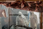 5 minuti faIn Francia è stato rilevato il primo caso di ebola fuori dall’Africa: è un medico rientrato dalla Repubblica Democratica del Congo