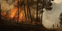 pochi secondi faIn Spagna continuano gli incendiCirca dieci sono ancora attivi, soprattutto nel nord-ovest, e si estendono su centinaia di chilometri quadrati: due persone sono morte