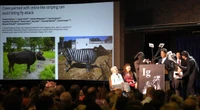 pochi secondi faSe vuoi vincere un Ig Nobel dipingi le vacche a strisceLa scoperta che imitando il manto delle zebre si possono ridurre i morsi dei tafani è valsa il premio per le ricerche scientifiche più strane dell'anno