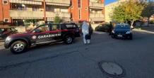 pochi secondi faC’è stato un femminicidio in provincia di Verona: una donna di 33 anni è stata uccisa a coltellate dall’uomo con cui viveva