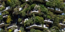 Dieci anni di “boschi verticali”Il primo e più famoso è quello di Milano, diventato poi un modello per decine di altri edifici ricoperti da alberi e arbusti in tutto il mondo