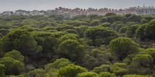 1 minuto faSul clima l’Unione Europea è sempre più indecisaFino a pochi anni fa aveva piani ambiziosi, ora fatica a definire obiettivi comuni e le politiche ambientali sono meno popolari tra i paesi membri