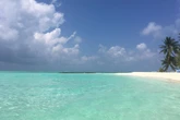pochi secondi faChe posto è l’isola di Alimathà alle Maldive, dove cinque italiani sono morti in un’immersioneÈ un'isola corallina molto frequentata per le escursioni subacquee