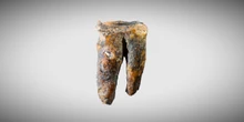4 minuti faI Neanderthal furono i primi dentisti?Un dente che risale a 59mila anni fa ha un foro compatibile con un primordiale intervento dentale, ma non tutti sono convinti