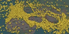 Volare tra le guerre costaLe compagnie aeree devono studiare deviazioni e rotte più lunghe per i loro voli, tra ritardi, cancellazioni, aumenti dei biglietti e più inquinamento