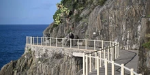 pochi secondi faUn turista australiano di 26 anni è morto dopo essere caduto in mare dalla Via dell’Amore delle Cinque Terre