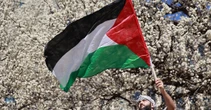 3 minuti faAnche il Belgio riconoscerà lo stato di Palestina