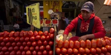 1 minuto faTrump ha imposto dazi pure sui pomodori messicani, dopo 29 anniErano stati chiesti da un tribunale ma poi sempre rimandati grazie a un accordo sui prezzi: da lunedì sono al 17 per cento