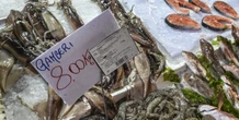 3 minuti faCosa si sta facendo a Napoli contro l’aumento anomalo dei casi di epatite AOltre al divieto di vendere frutti di mare crudi, sono state introdotte nuove misure di prevenzione nelle scuole e nelle mense