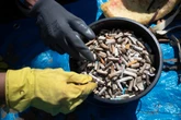 3 minuti faIl Servizio sanitario nazionale rimborserà le spese per un farmaco per smettere di fumare a chi intraprende un percorso