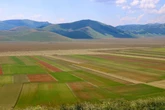 4 minuti faLa fioritura di Castelluccio di Norcia quest’anno è più rossaIl caldo e la siccità hanno bruciato buona parte dei fiori che non sono papaveri, rendendo il famoso altopiano meno colorato