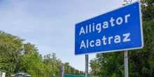 1 minuto faDue cittadini italiani negli Stati Uniti sono detenuti ad “Alligator Alcatraz”È un centro di detenzione per immigrati irregolari che devono essere espulsi, costruito in mezzo a una palude in Florida