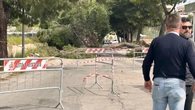 1 minuto faIn Puglia due persone sono morte in incidenti causati dal vento forte