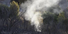 pochi secondi faIn Puglia è un’estate di incendiNell'ultimo mese sono stati quasi mille, con un aumento del circa 20 per cento rispetto allo stesso periodo dello scorso anno