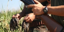 Non si sa molto della riforma della caccia, ma c’è già un gran dibattitoSecondo il ministro dell'Agricoltura Lollobrigida non sarà così favorevole ai cacciatori come si dice