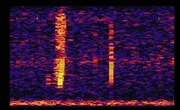 Bloop!È il nome di uno dei suoni più famosi e misteriosi di internet, captato nelle profondità dell'Oceano Pacifico nel 1997
