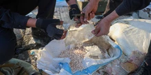 4 minuti faLa polizia siriana ha sequestrato 12 milioni di pillole di captagon, in una delle operazioni più grosse dopo la fine del regime di Assad