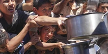 Il cibo e le medicine distrubuiti a Gaza sono del tutto insufficientiSecondo le stime dell’ONU servirebbe ogni giorno il quintuplo dei beni primari consegnati alla popolazione in quasi una settimana