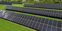 Il TAR del Lazio ha stabilito che le regioni non possono avere discrezionalità su dove costruire impianti eolici e fotovoltaici 