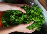 pochi secondi faNegli Stati Uniti c’è un’epidemia di diarrea fulminanteMigliaia di persone in almeno 30 stati hanno un’infezione causata da un parassita preso mangiando vegetali crudi