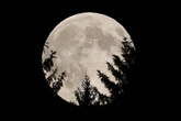 2 minuti faIl più vicino dei mondi lontaniLa Luna dista dalla Terra il giusto, è fondamentale per la vita delle specie e stimola la fantasia umana e il progresso da sempre