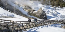 L’incidente vicino al parco di YellowstoneGiovedì sette persone sono morte nello scontro tra un pick-up e un pullman di turisti; secondo fonti del ministero degli Esteri almeno una era italiana
